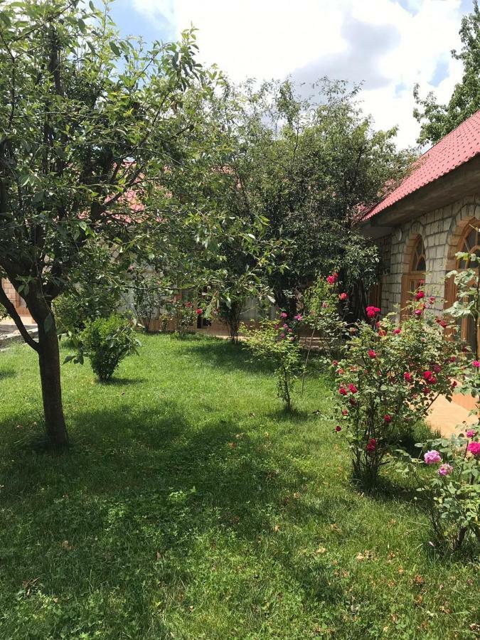 Sheki Apartments מראה חיצוני תמונה