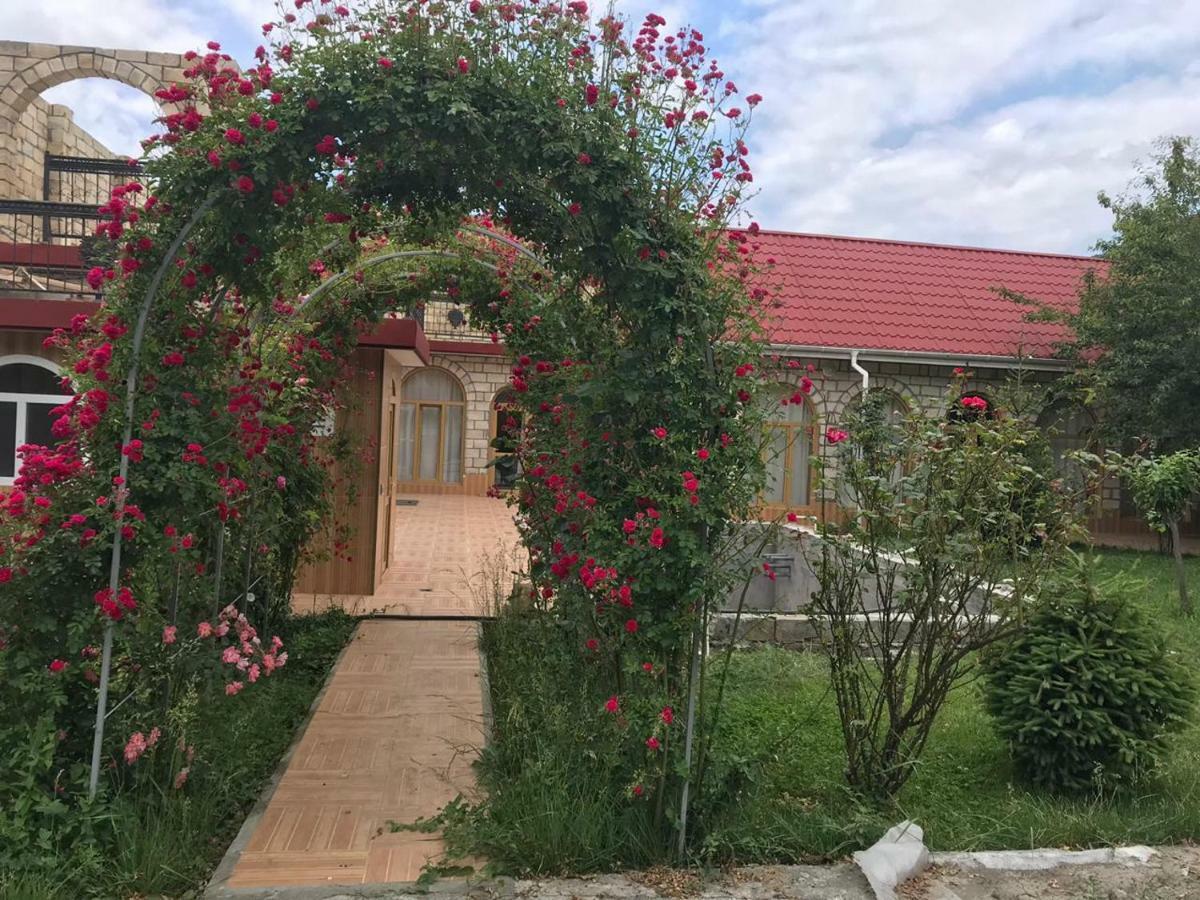 Sheki Apartments מראה חיצוני תמונה