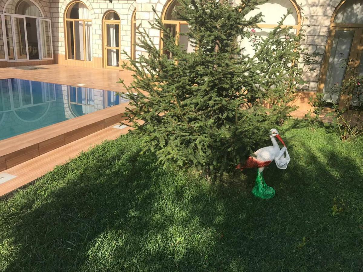 Sheki Apartments מראה חיצוני תמונה